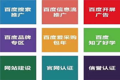 案例揭秘：SEM主管如何应对广告投放中的挑战