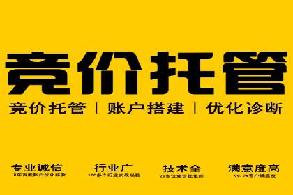 SEM服务案例：打造行业领先品牌